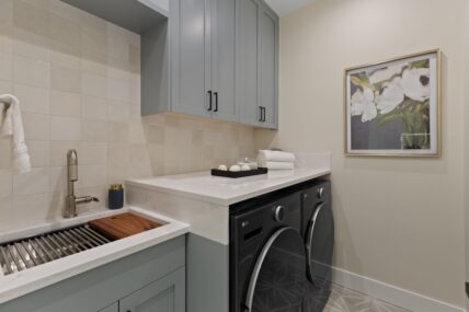 Bathroom Chapin Washer Dryer Mini Bar 0115 142kb