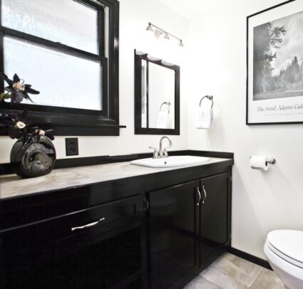 black and white bathroom